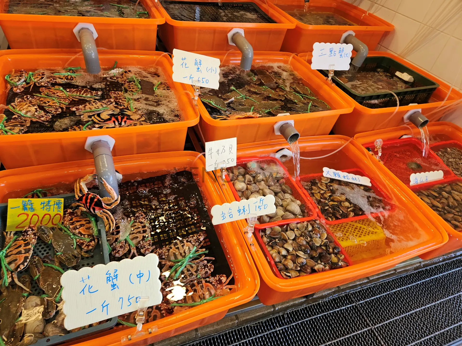 吃螃蟹千萬別碰柿子?這組合竟然可能致命!