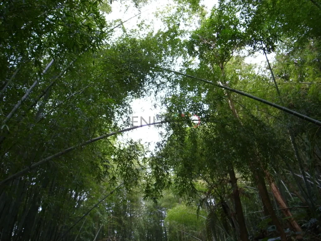 感情裡最遺憾的不是分開,而是沒說清楚