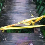 感情裡最遺憾的不是分開，而是沒說清楚