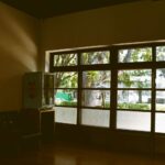 為何2026年大家都推薦檸檬巷館？專業攝影魅力一次看！